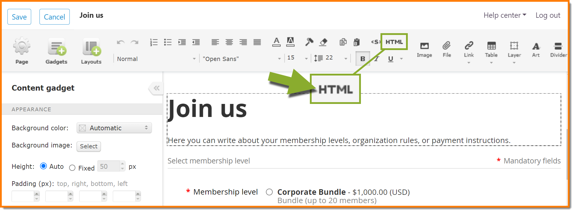 Adding custom HTML or JavaScript