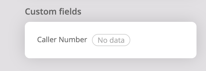 Settings: Custom conversation fields