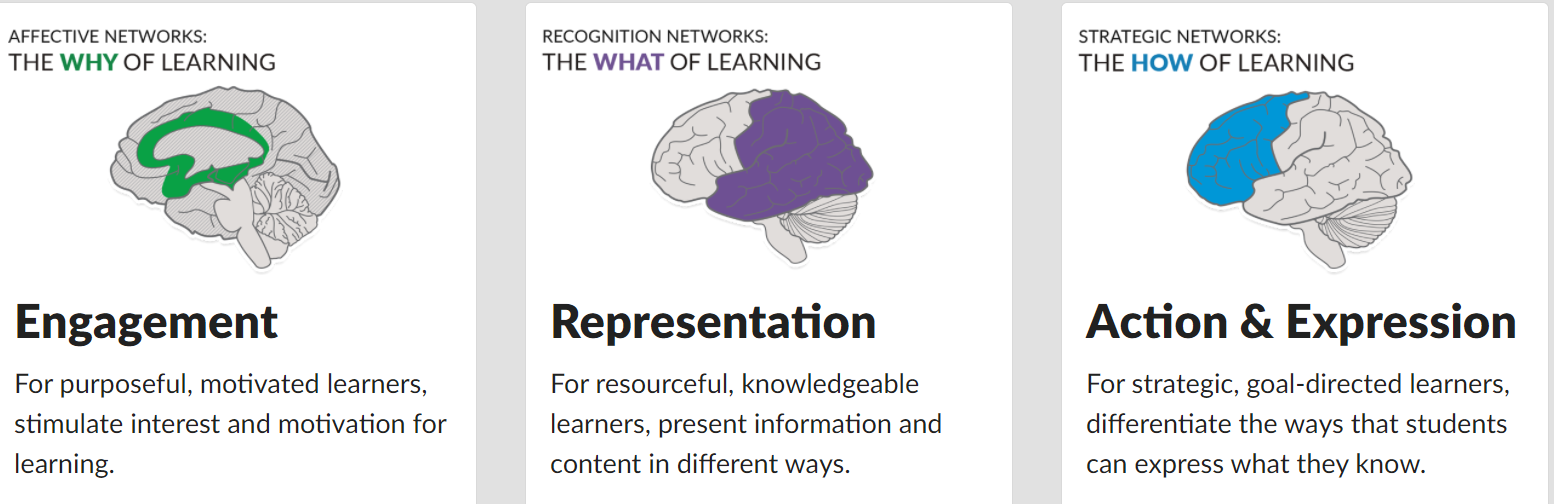 Universal Design for Learning