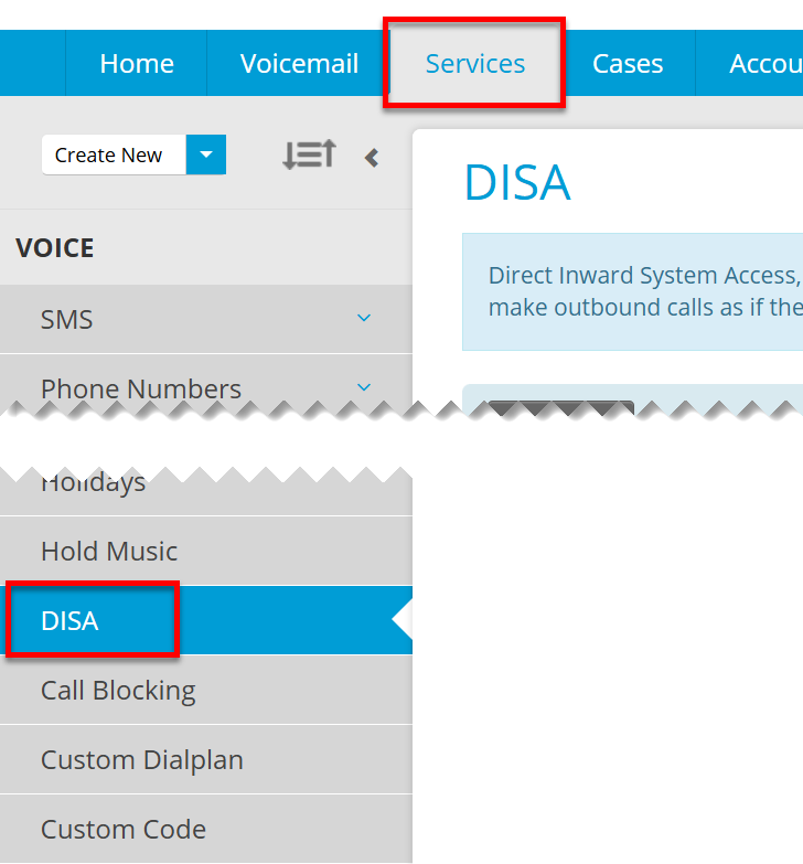 Direct Inward System Access (DISA)