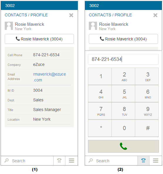New User Portal: Making a Voice Call