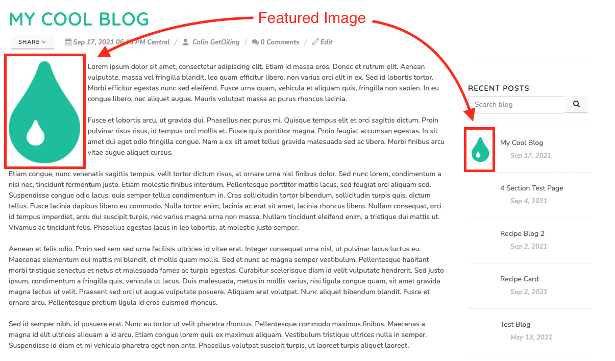 Blog Management: A Comprehensive Guide